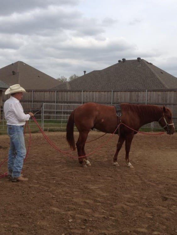 Training - Image 4
