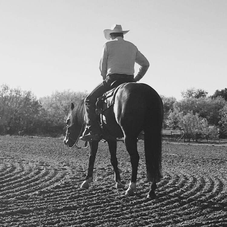 Training - Image 6