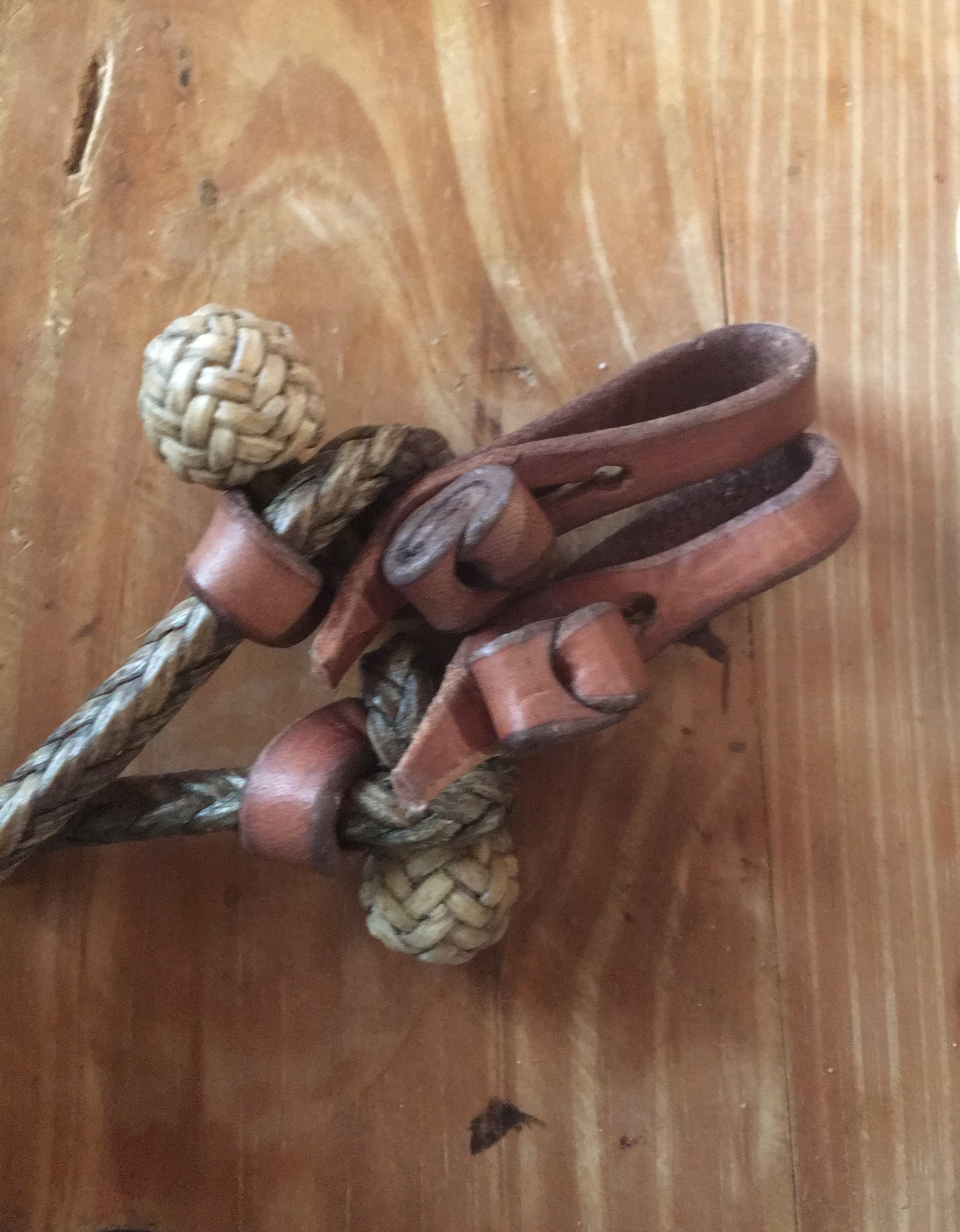 Rawhide Braiding by Nancy Eppers - Image 8