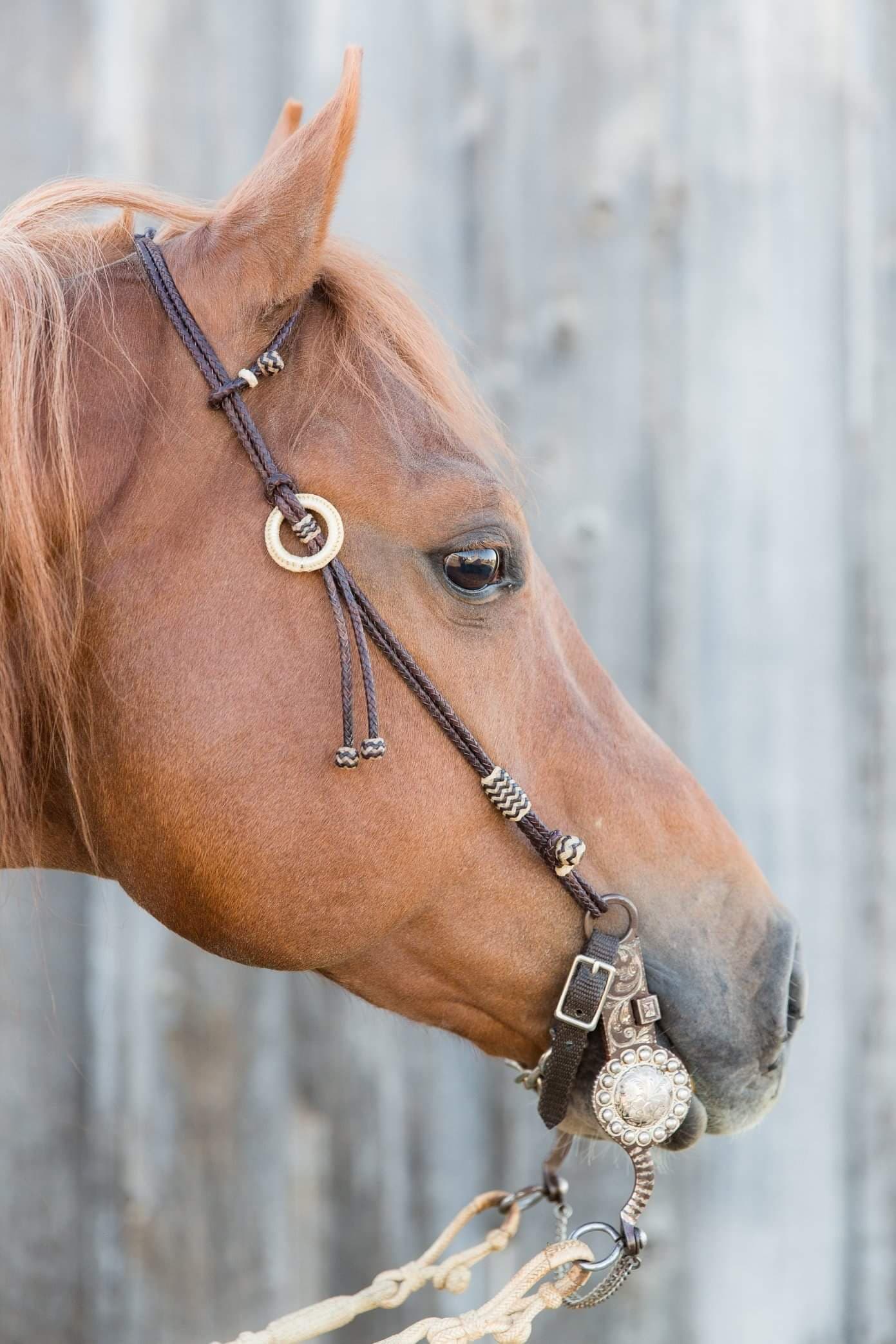 Rawhide Braiding by Nancy Eppers - Image 1