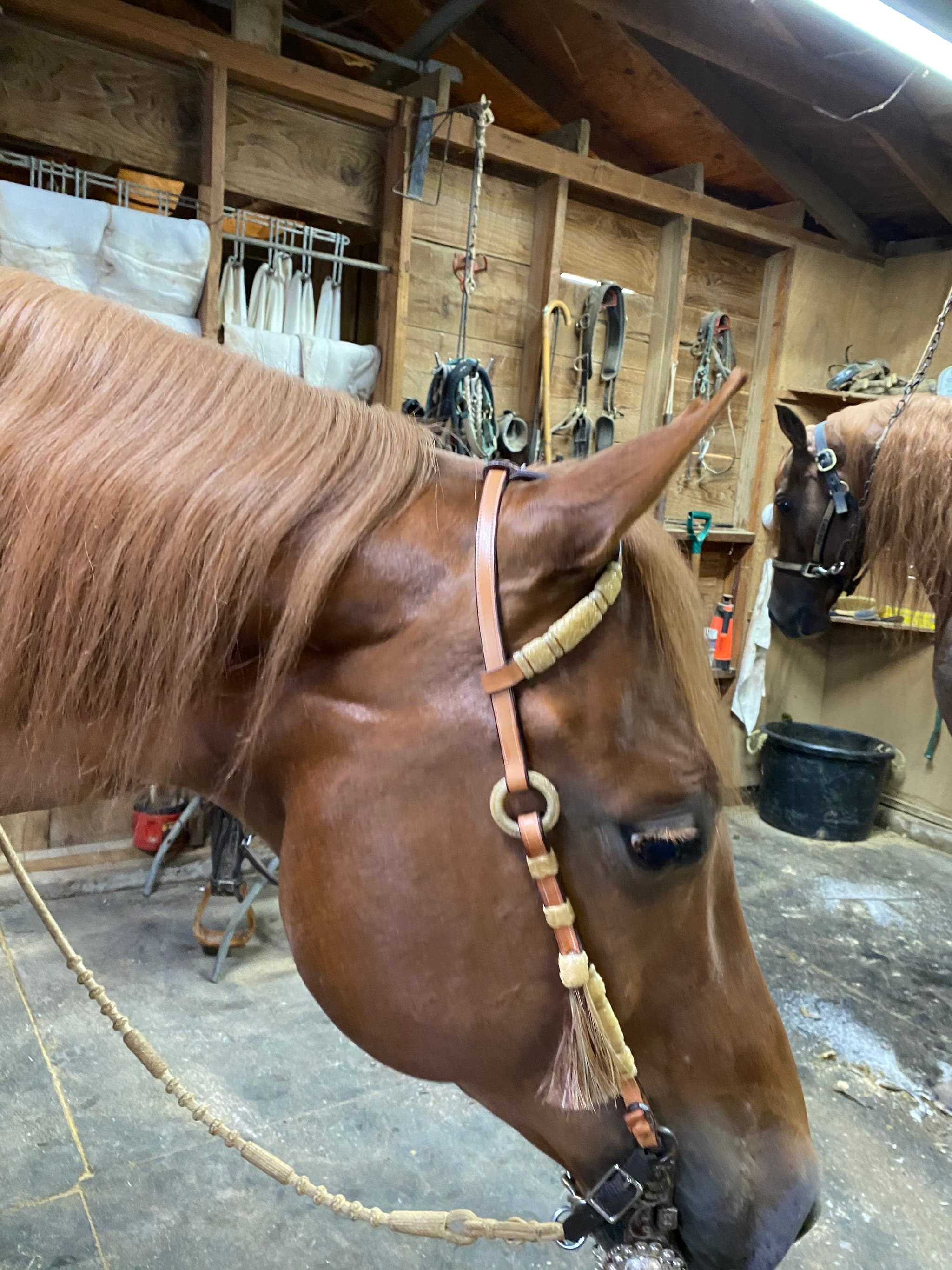 Rawhide Braiding by Nancy Eppers - Image 4